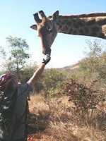 The Classic Lowveld Experience Tour The Classic Lowveld Experience Tour